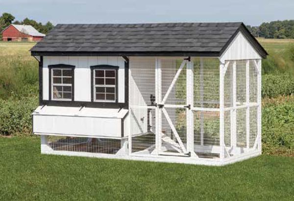 Amish-Made Custom Chicken Coops | Backyard Living Co.